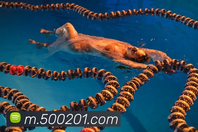 互动解说服务